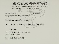 登錄號:F0030185藏品圖，第2張