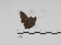 登錄號:F0030185藏品圖，第1張