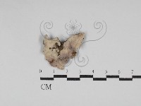 登錄號:F0030185藏品圖，第3張
