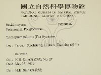 登錄號:F0030186藏品圖，第2張