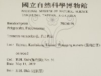 雲芝藏品圖，第2張