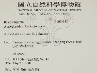 登錄號:F0030192藏品圖，第2張