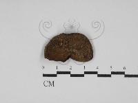 登錄號:F0030192藏品圖，第1張