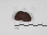 登錄號:F0030192藏品圖，第3張