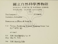 蠔韌革菌藏品圖，第2張