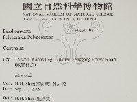 登錄號:F0030198藏品圖，第2張