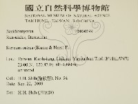 蠔韌革菌藏品圖，第2張