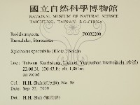 登錄號:F0030200藏品圖，第2張