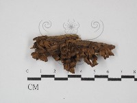 登錄號:F0030200藏品圖，第1張