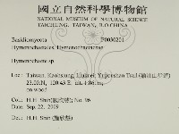 刺革菌屬藏品圖，第2張