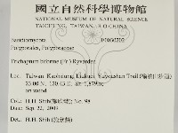 登錄號:F0030202藏品圖，第2張