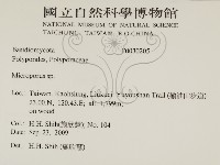 小孔菌屬藏品圖，第2張