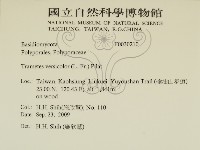 雲芝藏品圖，第2張