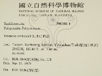 雲芝藏品圖，第2張
