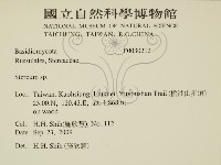 韌革菌屬藏品圖，第2張