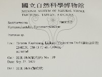 纖孔菌屬藏品圖，第2張