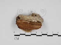 登錄號:F0030218藏品圖，第3張