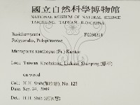 黄柄小孔菌藏品圖，第2張