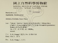 登錄號:F0030226藏品圖，第2張