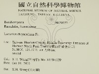 登錄號:F0030227藏品圖，第2張