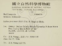 登錄號:F0030228藏品圖，第2張