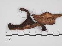 登錄號:F0030228藏品圖，第1張