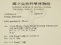 登錄號:F0030229藏品圖，第2張