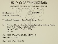 登錄號:F0030230藏品圖，第2張