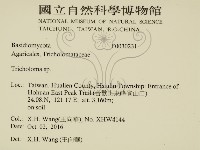 登錄號:F0030231藏品圖，第2張