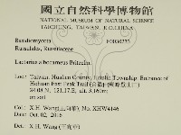 登錄號:F0030233藏品圖，第2張