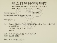 登錄號:F0030243藏品圖，第2張