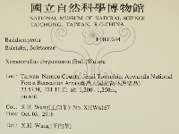 登錄號:F0030244藏品圖，第2張