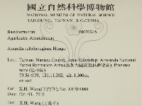 登錄號:F0030245藏品圖，第2張