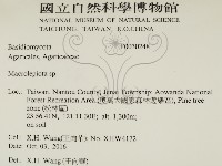 登錄號:F0030248藏品圖，第2張