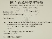 登錄號:F0030249藏品圖，第2張