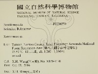 登錄號:F0030250藏品圖，第2張