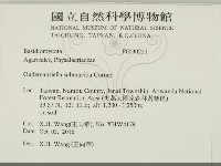登錄號:F0030251藏品圖，第2張