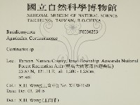 登錄號:F0030253藏品圖，第2張