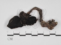 登錄號:F0030253藏品圖，第1張