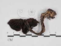 登錄號:F0030253藏品圖，第3張