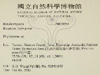 登錄號:F0030254藏品圖，第2張