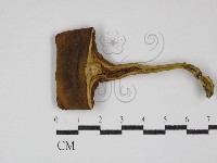 登錄號:F0030254藏品圖，第3張