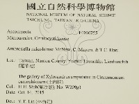 登錄號:F0030255藏品圖，第2張