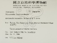 登錄號:F0030259藏品圖，第2張
