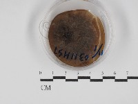 登錄號:F0030261藏品圖，第1張