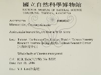 登錄號:F0030262藏品圖，第2張