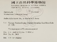 登錄號:F0030263藏品圖，第2張