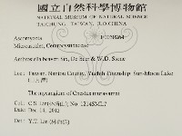 登錄號:F0030264藏品圖，第2張
