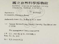 登錄號:F0030265藏品圖，第2張