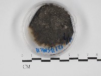 登錄號:F0030265藏品圖，第1張